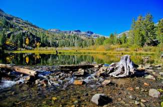 Meyers/Tahoe Paradise