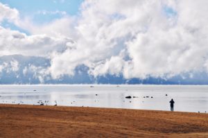 Tahoe Meadows